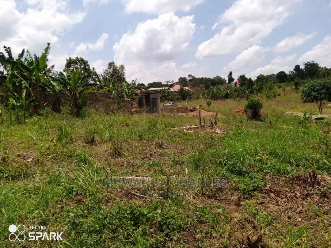 100x100ft Plot of Land for Sale in Bueate in Central Division