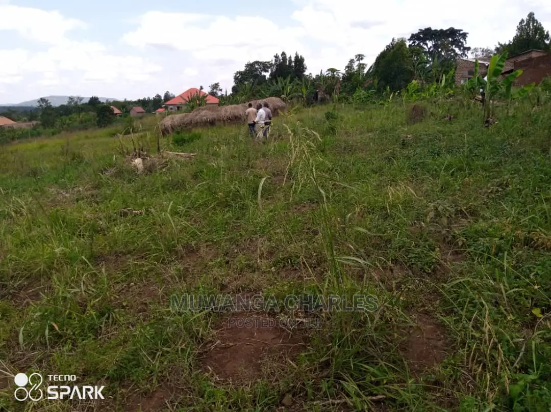 100x100ft Plot of Land for Sale in Bueate in Central Division