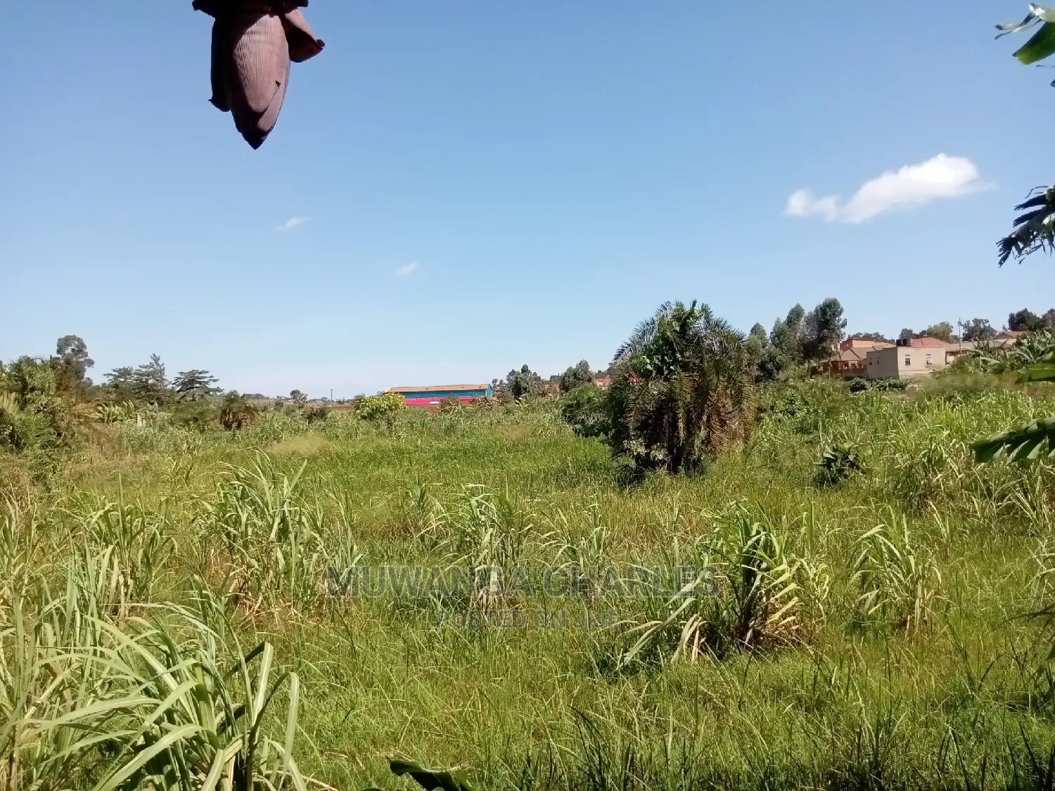 100x70ft Plot of Land for Sale in Buwate in Central Division