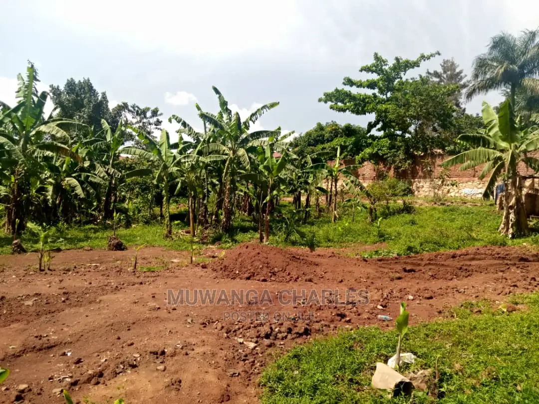 100x70ft Plot of Land for Sale in Buwate in Central Division