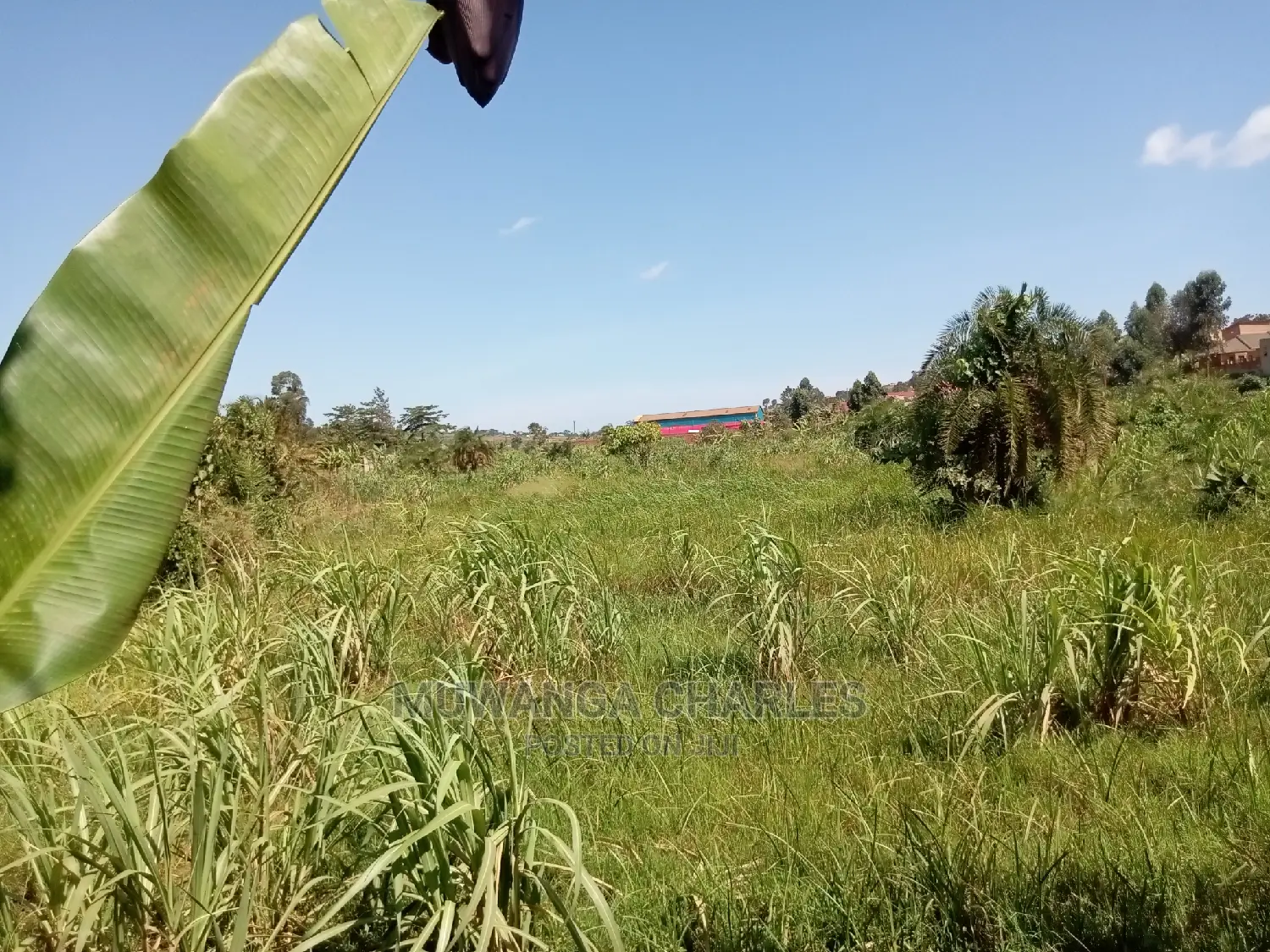 100x70ft Plot of Land for Sale in Buwate in Central Division