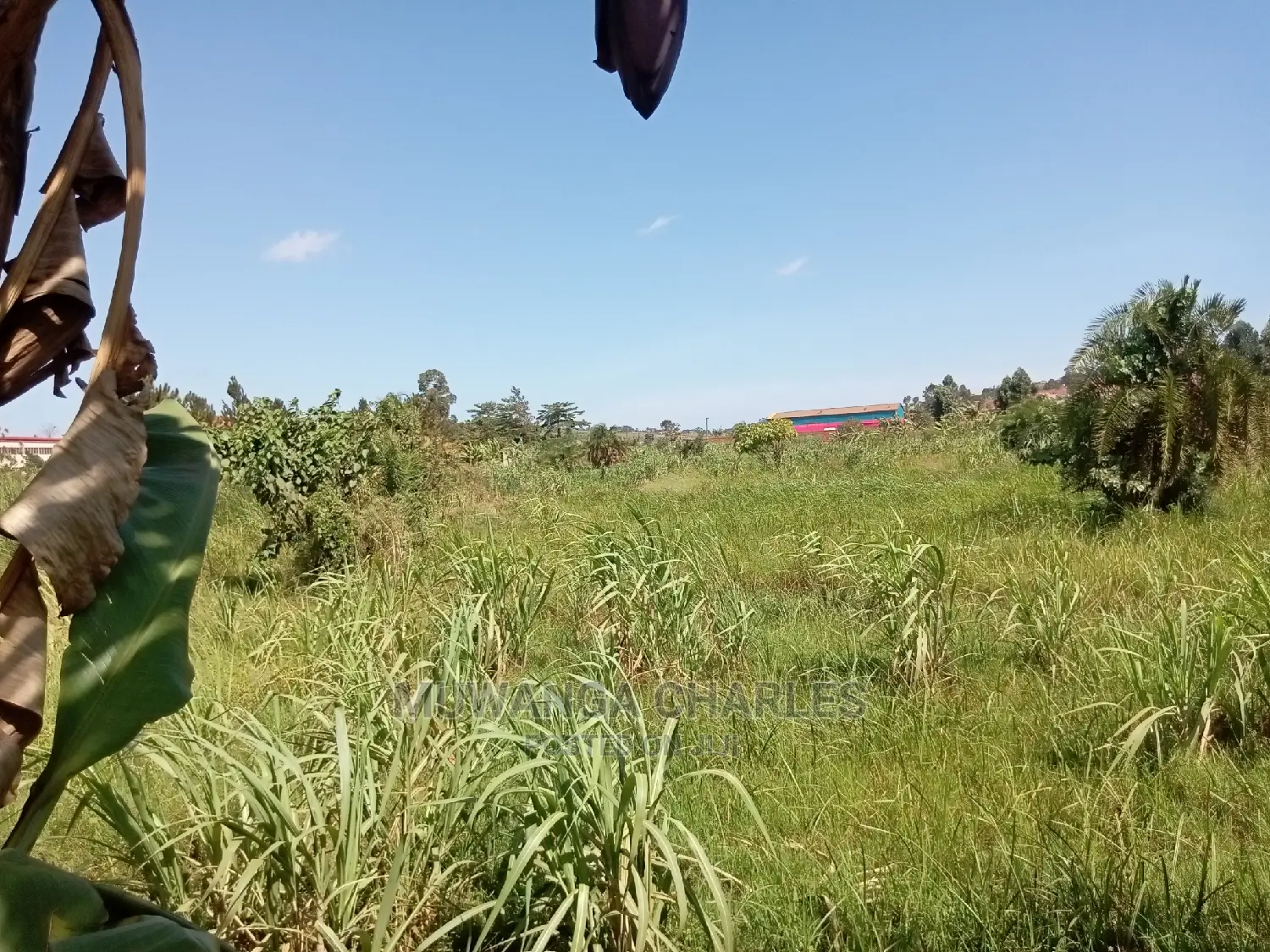 100x70ft Plot of Land for Sale in Buwate in Central Division