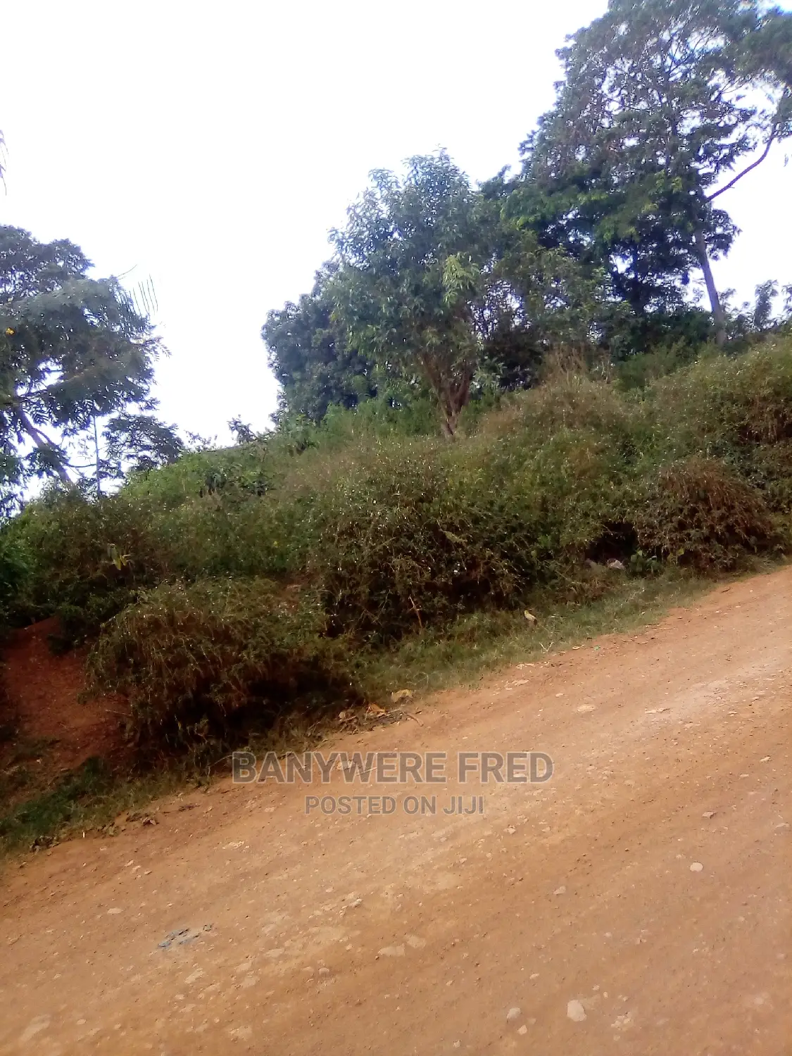 10acres Of Farmland For Sale In Luwube in Katikamu