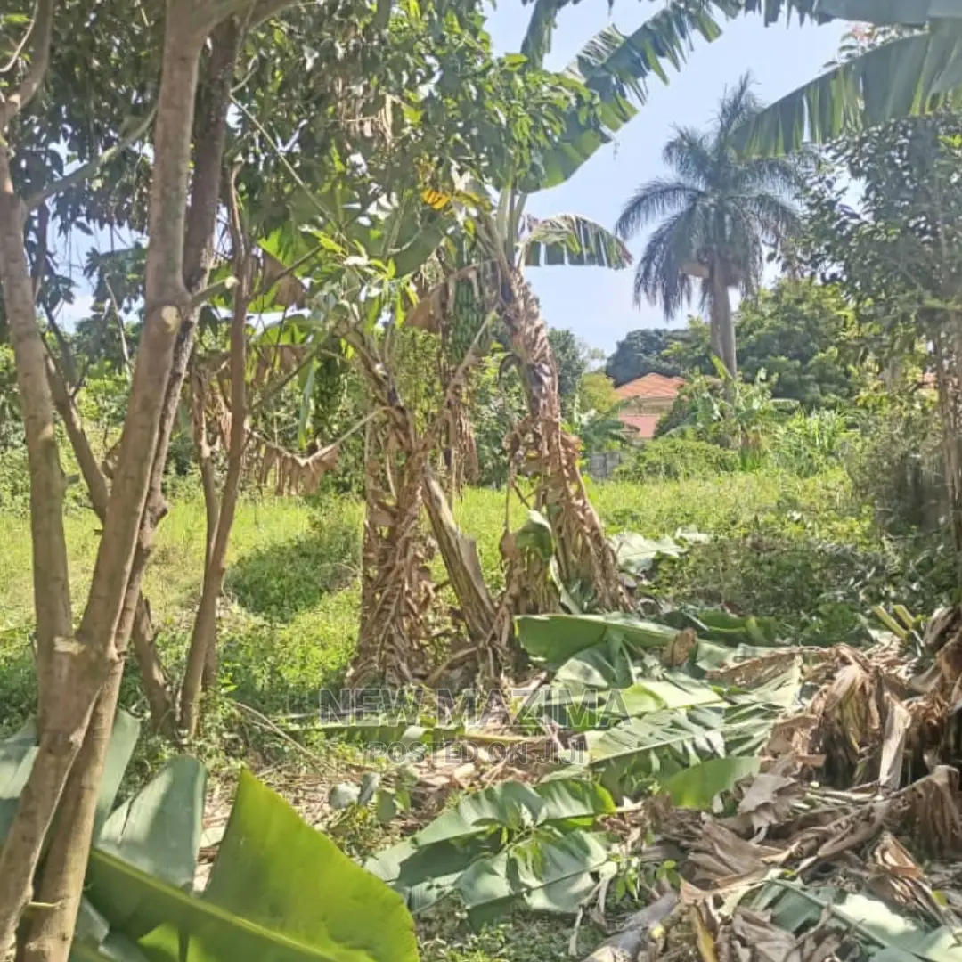 Very Prime 25 Decimals on Quicksale Heart of Muyenga Heights in Division A