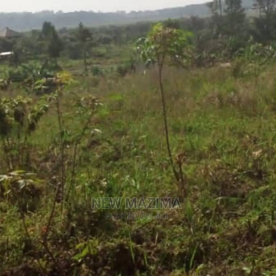 3 Acres Forced Sale in Heart of Mpigi in Mitala Maria Titled in Division A