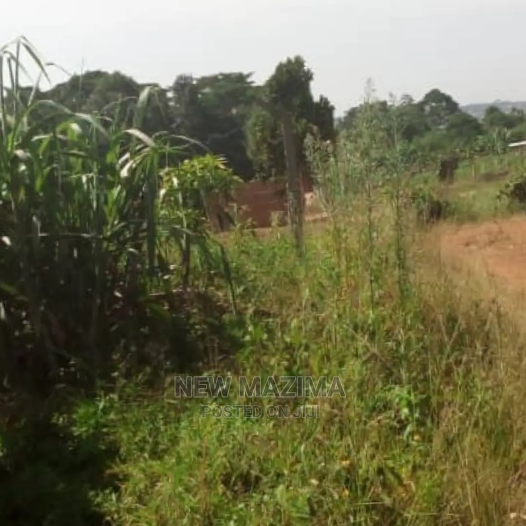 3 Acres Forced Sale in Heart of Mpigi in Mitala Maria Titled in Division A
