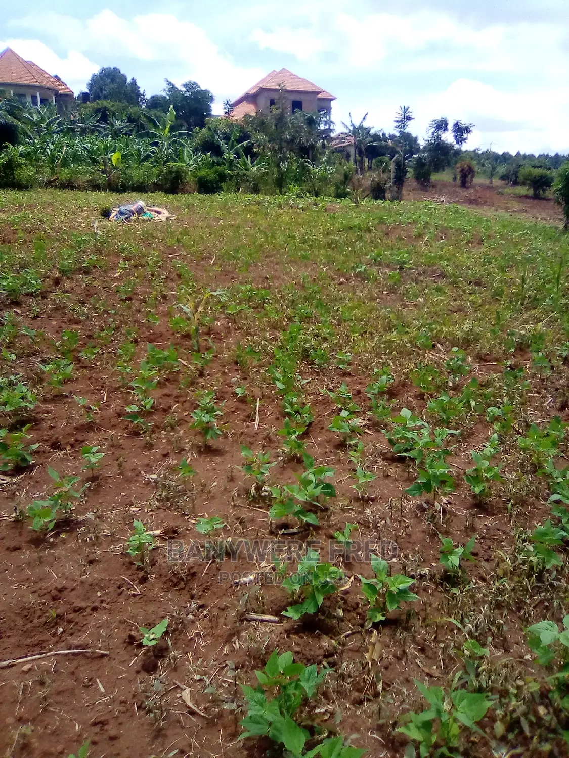 100x50ft Plot on Sale at Jogo 2 in Kira