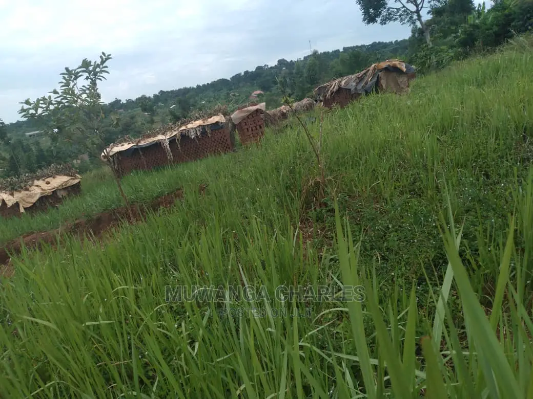100x70ft Plot of Land for Sale in Kyanja Kungu in Central Division