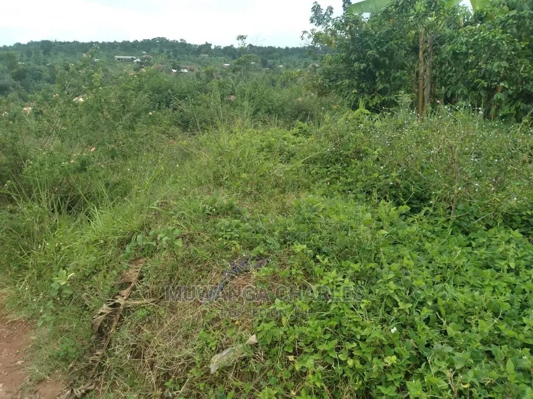 100x70ft Plot of Land for Sale in Kyanja Kungu in Central Division