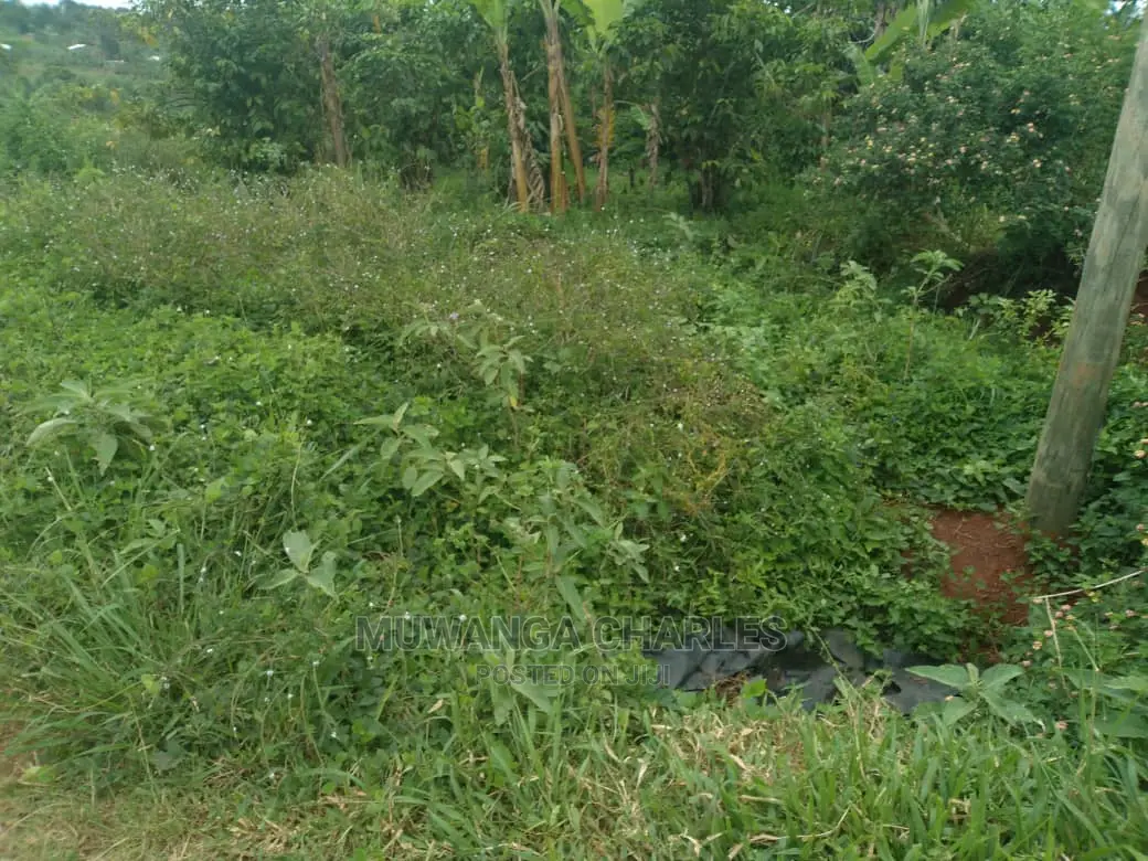100x70ft Plot of Land for Sale in Kyanja Kungu in Central Division