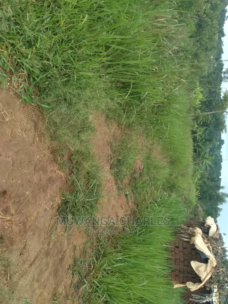 100x70ft Plot of Land for Sale in Kyanja Kungu in Central Division