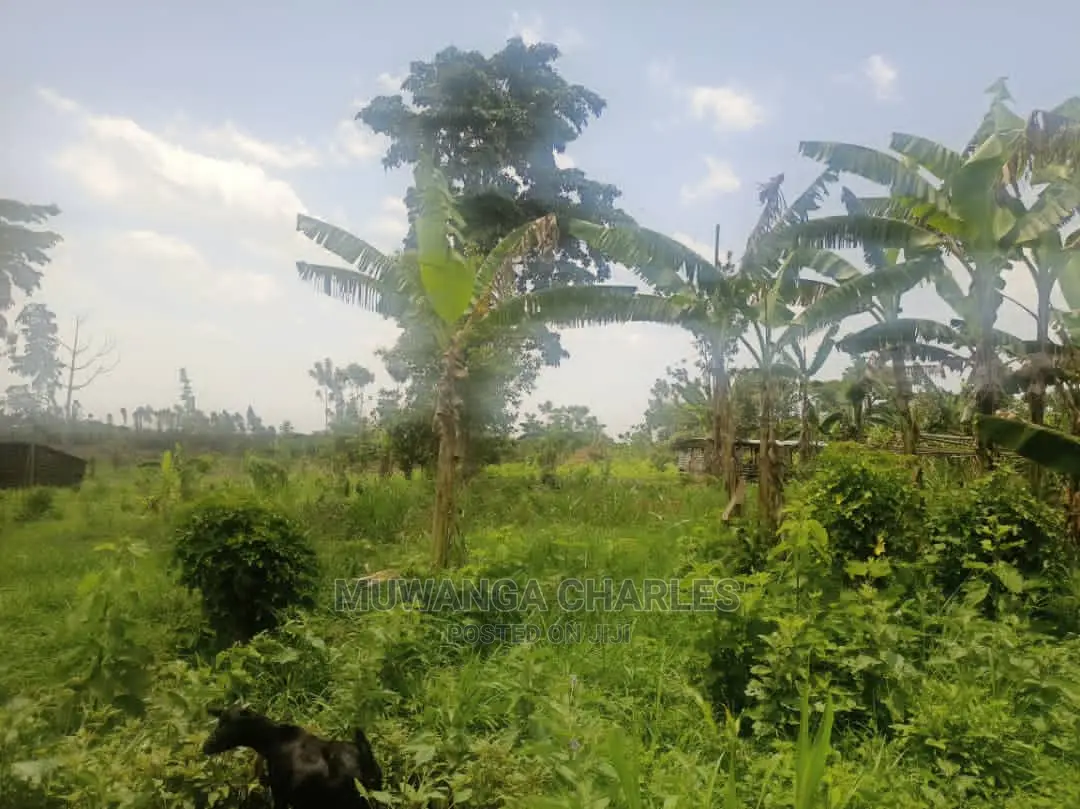 5acres of Land for Sale in Zirobwe in Central Division