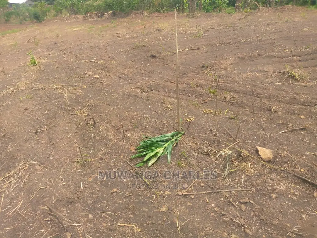 100x100ft Plot of Land for Sale in Buwate in Central Division