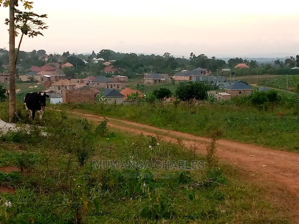 100by50ft Plot of Land for Sale in Kyana Kungu in Central Division