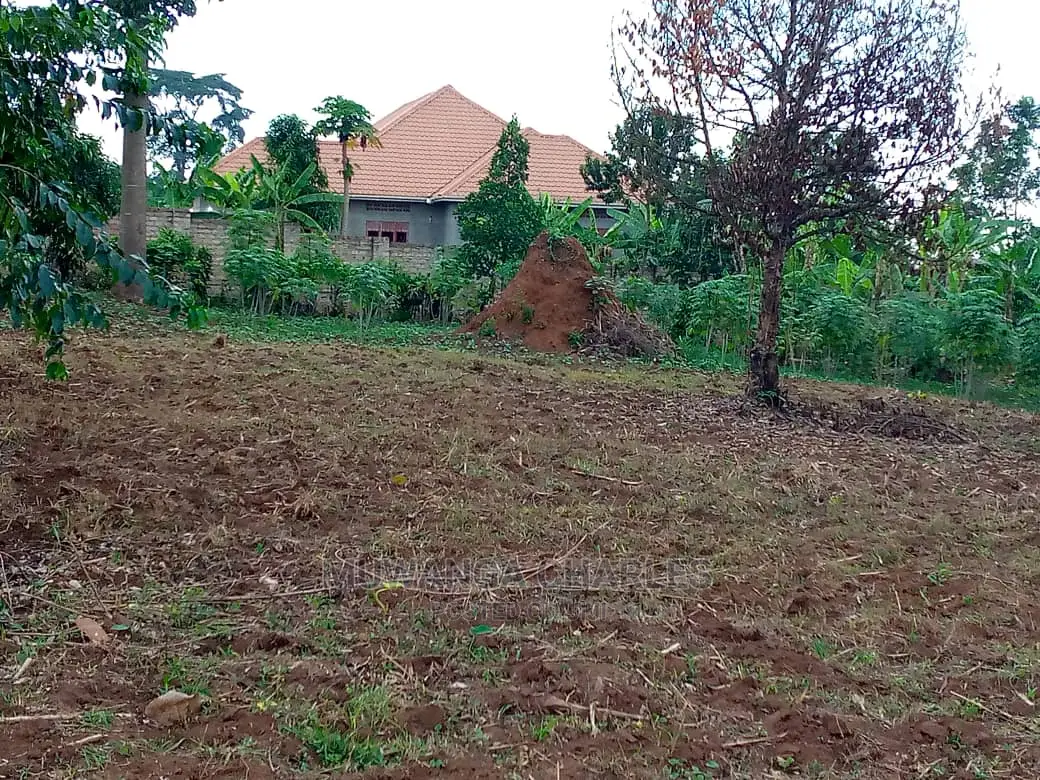 100by50ft Plot of Land for Sale in Kyana Kungu in Central Division