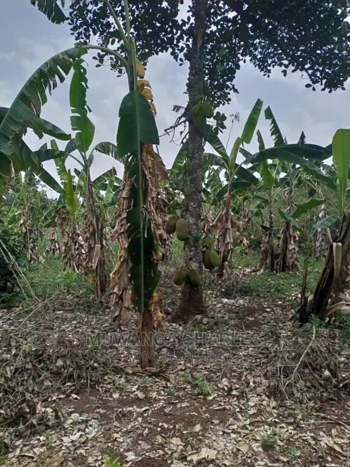 4acres for Sale in Zirobwe Wabutungulu in Central Division