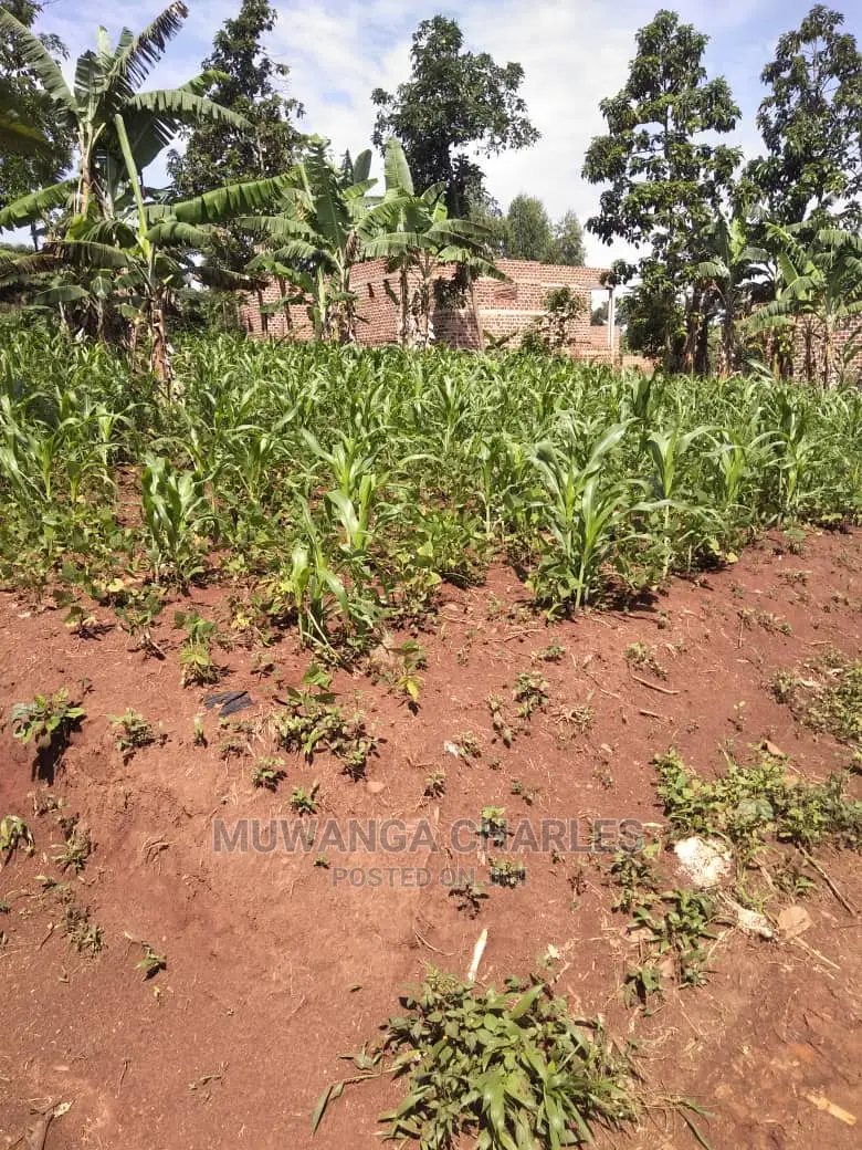 1acre of Land for Sale in Buwate in Central Division