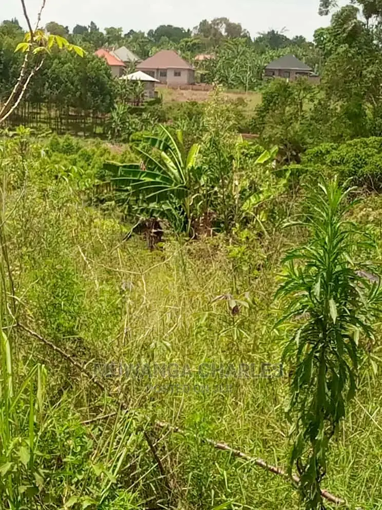 50decimals Plot of Land for Sale in Buwate in Central Division