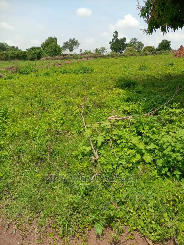 50decimals Plot of Land for Sale in Buwate in Central Division