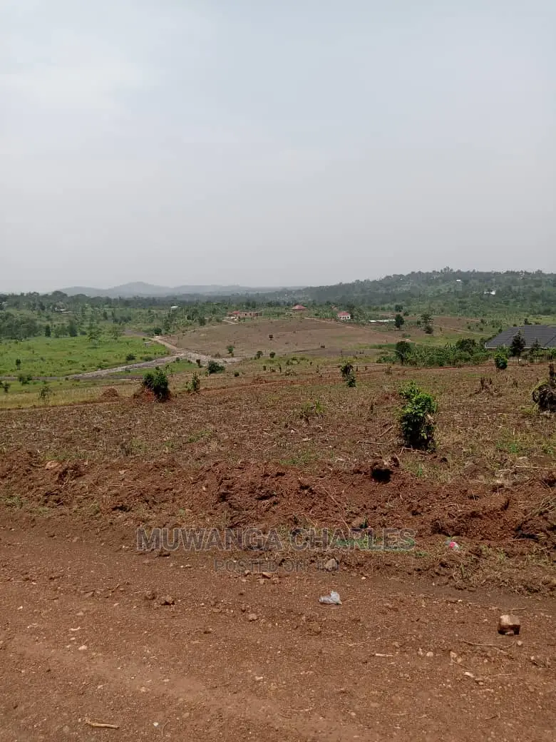 100x100ft Plot of Land for Sale in Kira Nsasa in Central Division