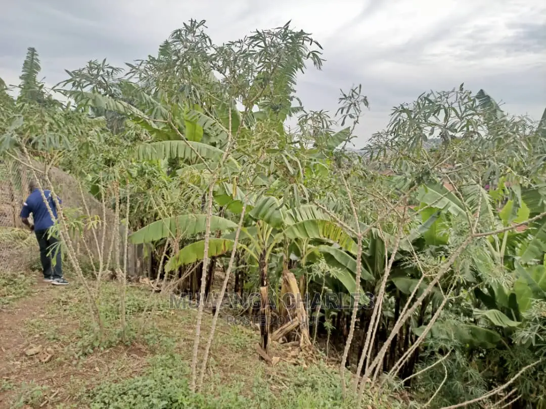 1acre of Land for Sale in Kira Bulindo in Central Division