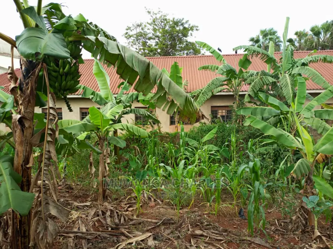 25decimals of Land for Sale in Buwate in Central Division