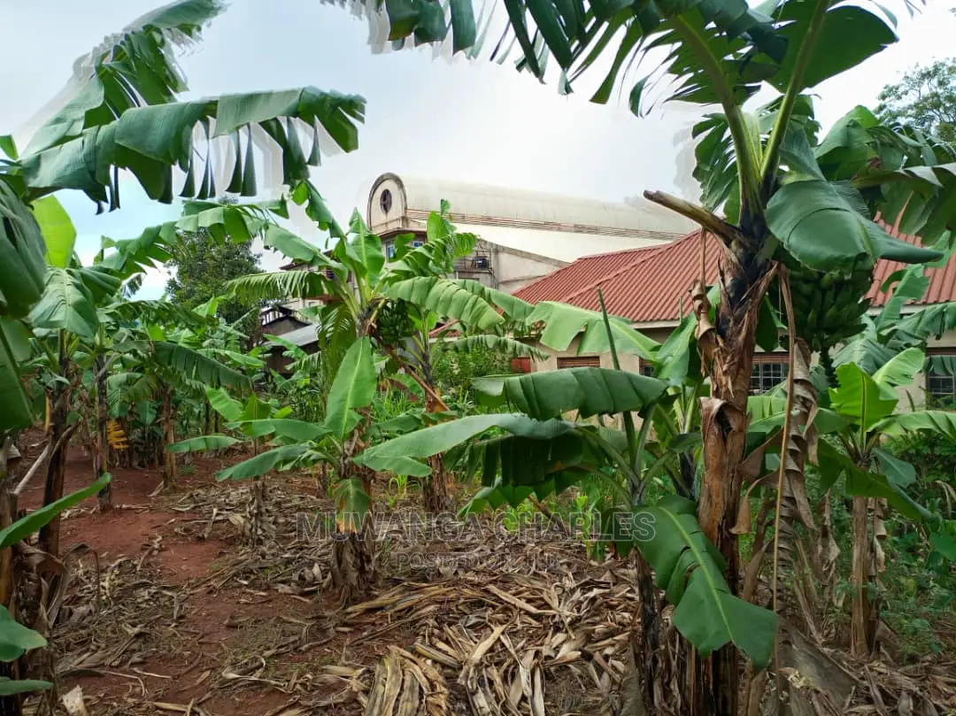 25decimals of Land for Sale in Buwate in Central Division