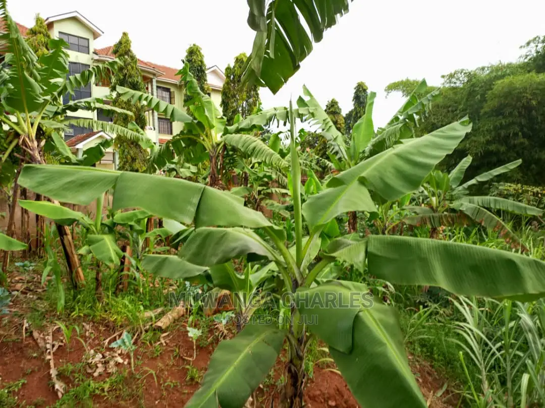 25decimals of Land for Sale in Buwate in Central Division