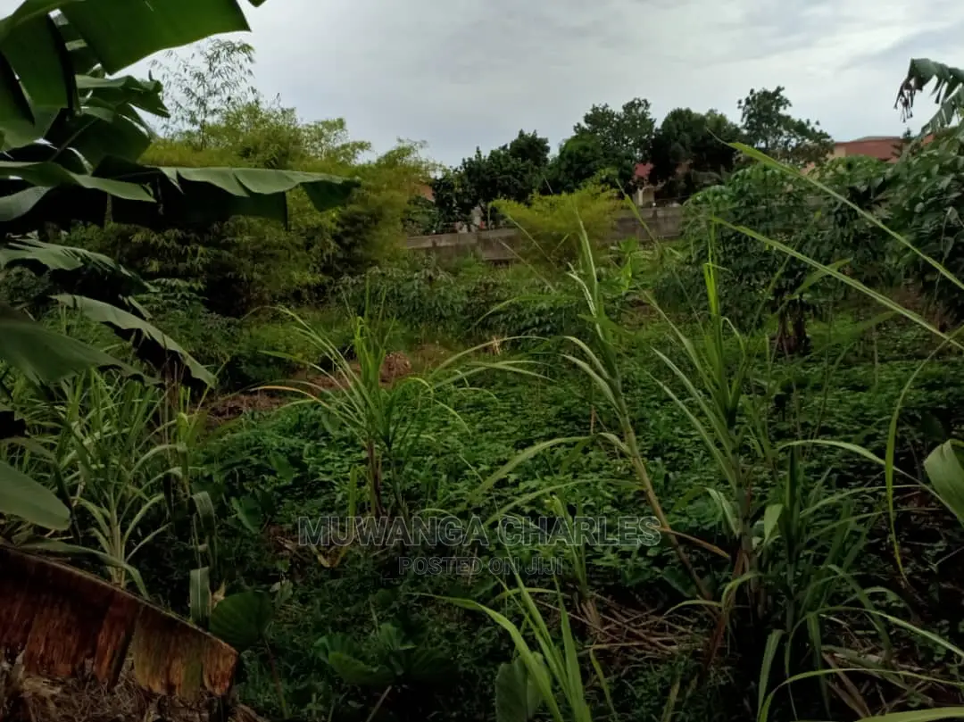 25decimals of Land for Sale in Buwate in Central Division
