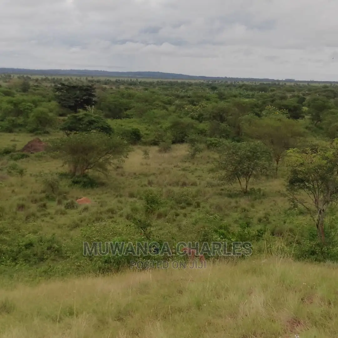 100acres of Land for Sale in Nakasongola in Central Division