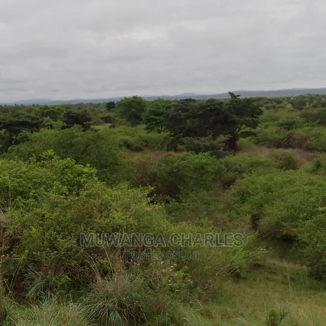 100acres of Land for Sale in Nakasongola in Central Division