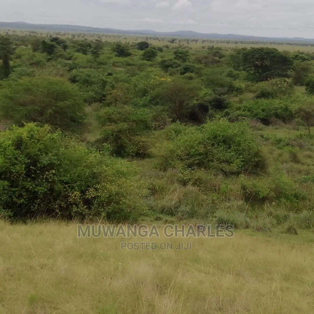 100acres of Land for Sale in Nakasongola in Central Division