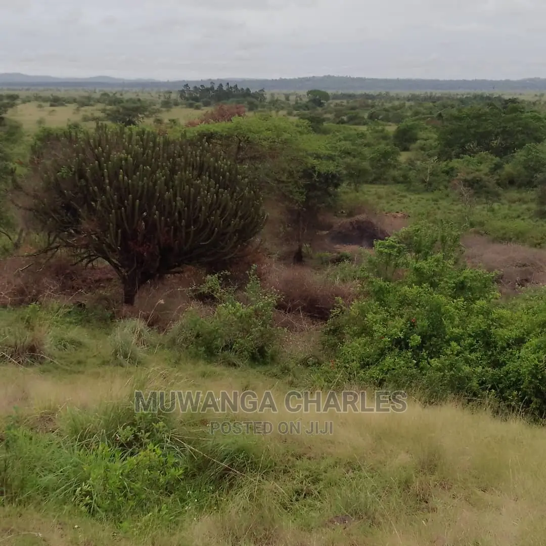 100acres of Land for Sale in Nakasongola in Central Division