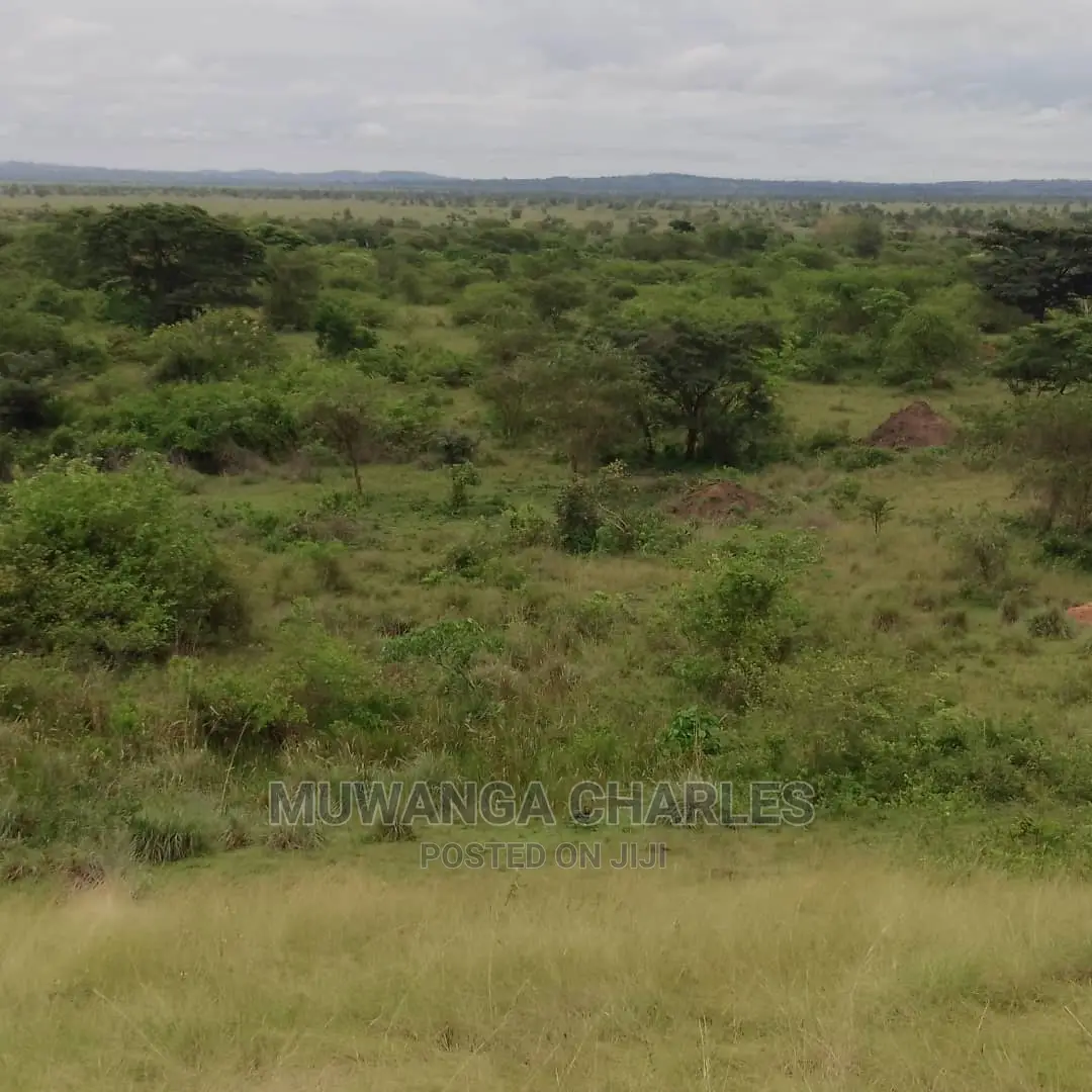 100acres of Land for Sale in Nakasongola in Central Division