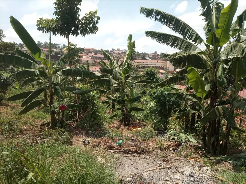 Plot's at Gayaza Nakwero at 30m in Central Division