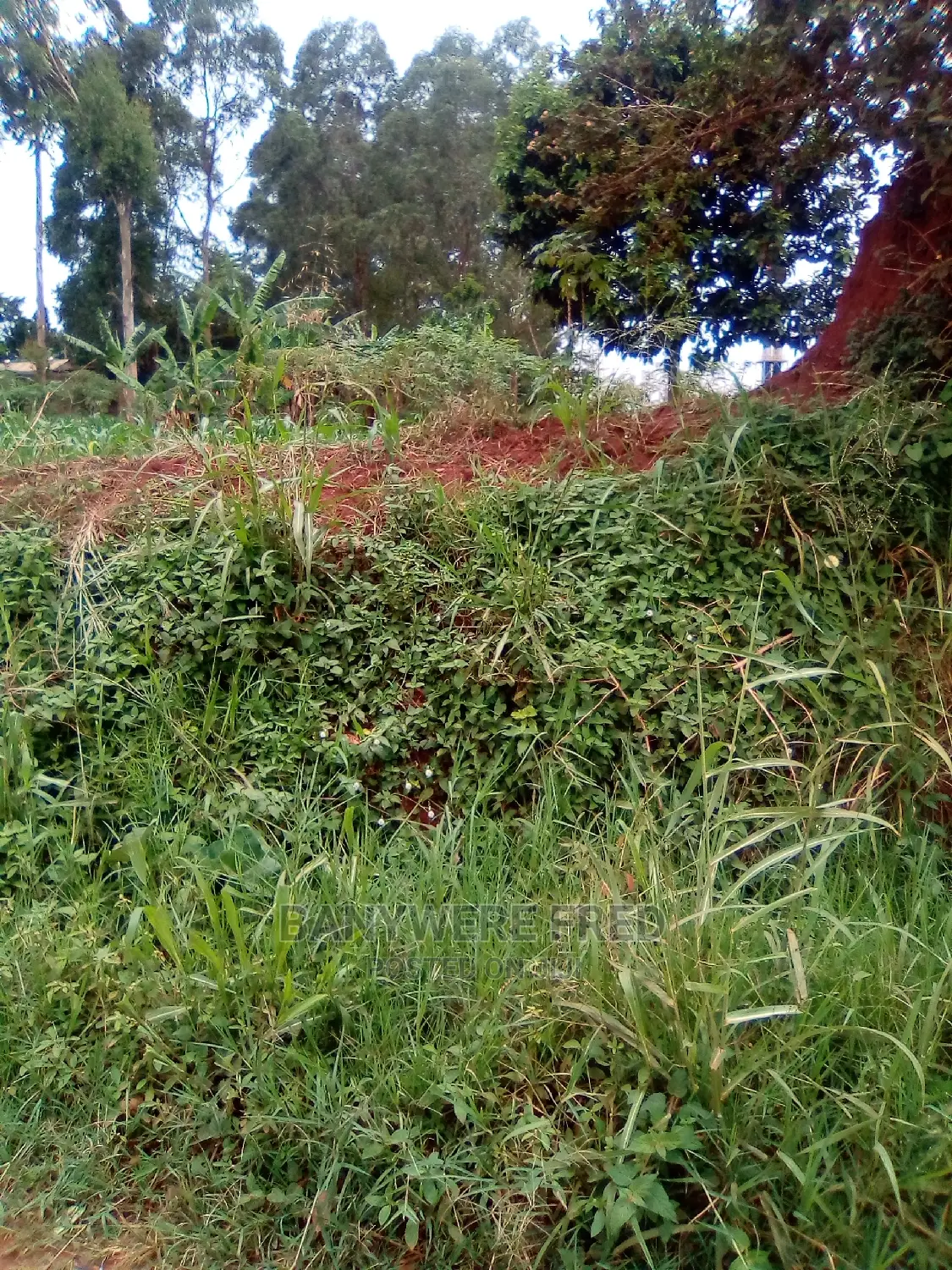 200acres of Industrial Land on Sale in Katalekake in Kikyusa