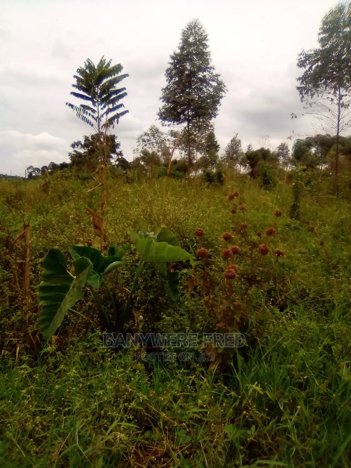 15acres of Industrial Land for Sale in Bujuko in Muduma