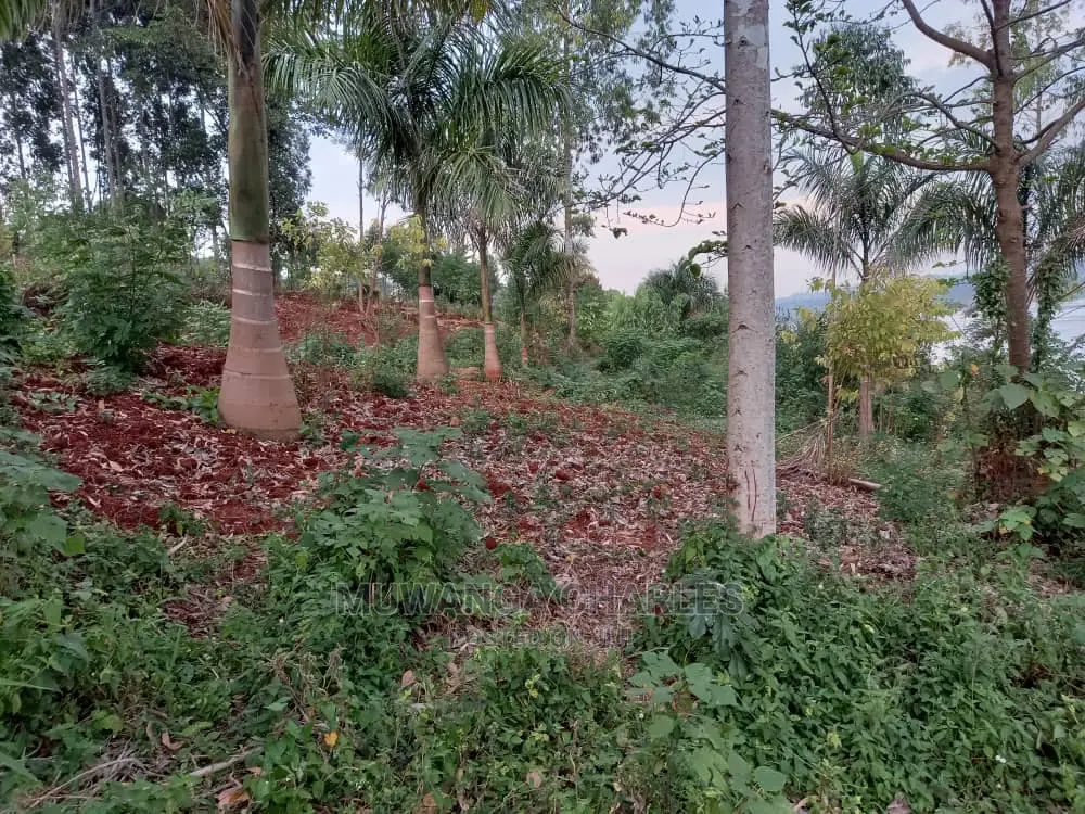 100x100ft Plot of Land for in Kungu in Central Division