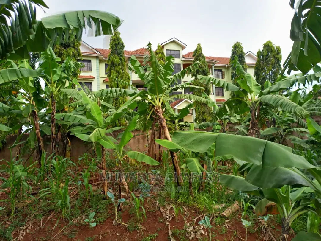 100x100ft Plot of Land for in Kungu in Central Division