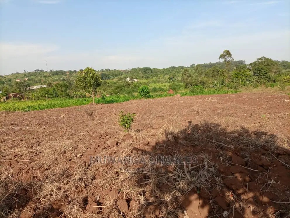 2acres of Land for Sale at Busika in Central Division