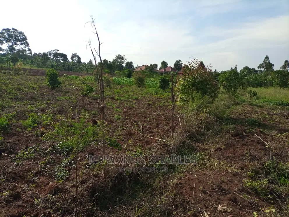 2acres of Land for Sale at Busika in Central Division