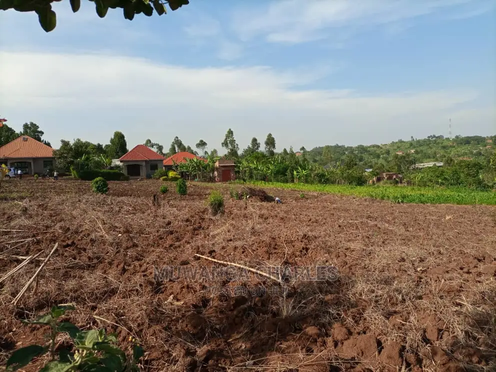 100x50ft Plot of Land for Sale in Namugongo Sonde in Central Division
