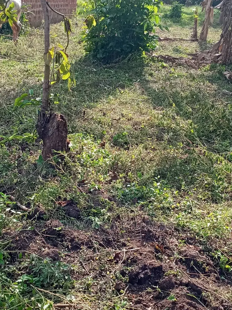 100x50ft Plot of Land for Sale in Namugongo Sonde in Central Division