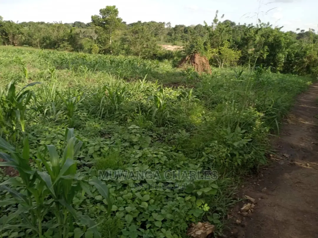 10acres of Land for Sale at Zirobwe Kikyusa in Central Division