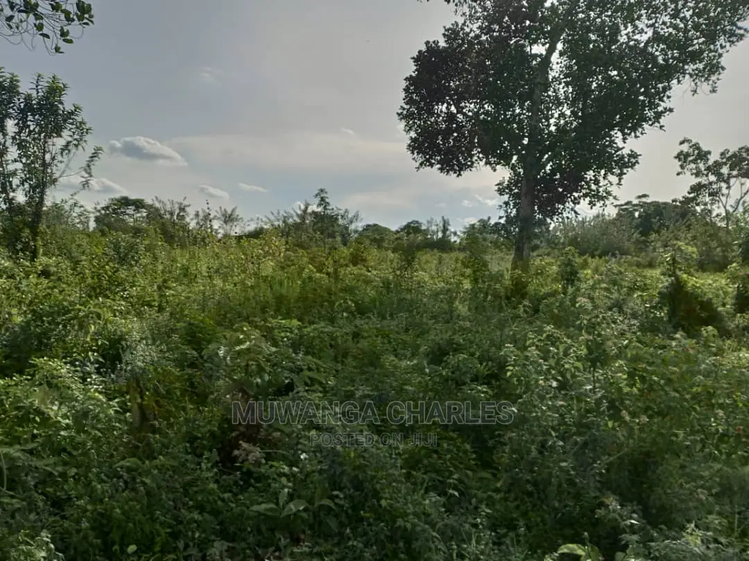 10acres of Land for Sale at Zirobwe Kikyusa in Central Division
