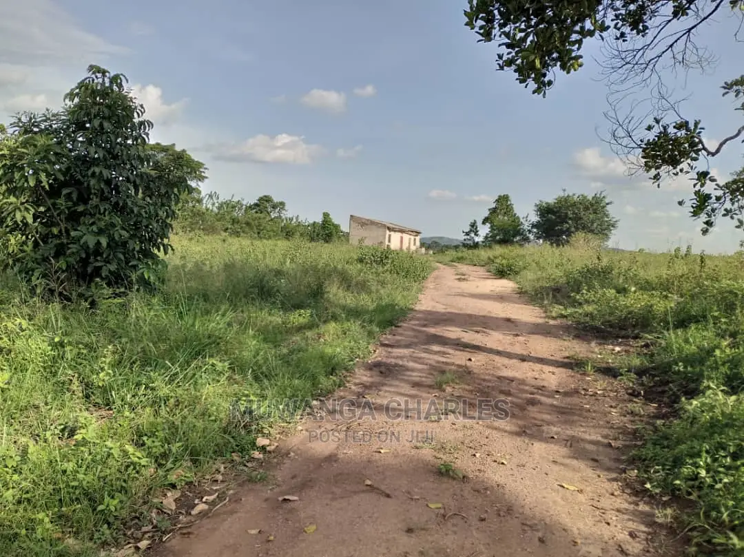 10acres of Land for Sale at Zirobwe Kikyusa in Central Division