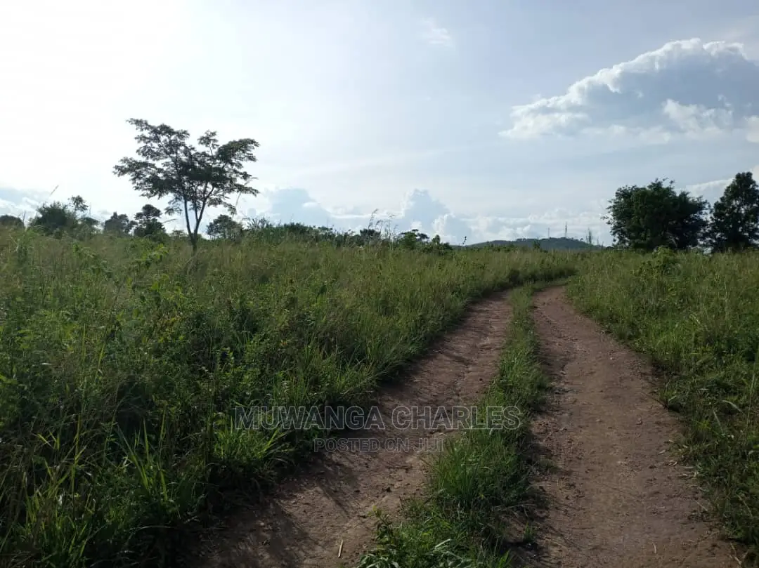 10acres of Land for Sale at Zirobwe Kikyusa in Central Division