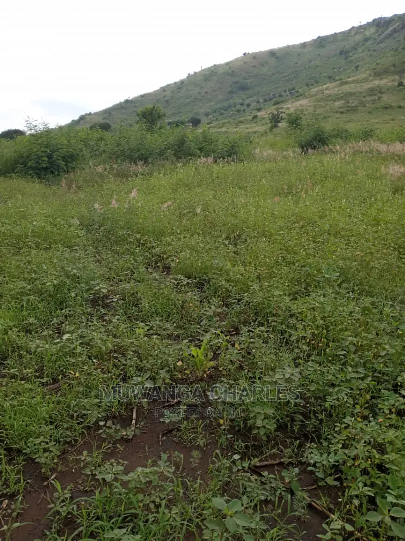 25acres of Land for Sale at Nakasongola Kamira in Central Division