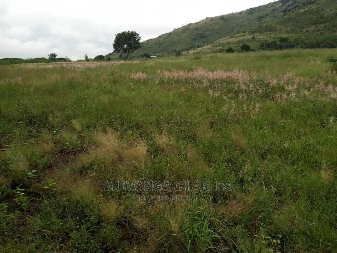 25acres of Land for Sale at Nakasongola Kamira in Central Division