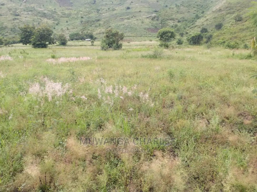25acres of Land for Sale at Nakasongola Kamira in Central Division